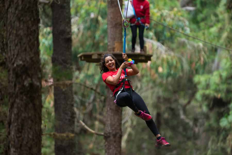 Teneriffa: Forestal Park Tenerife Entry Ticket. Foto: GetYourGuide