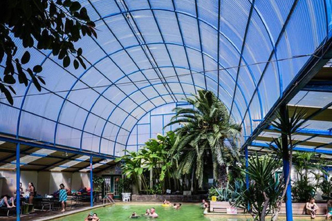 Desde Denver: tour de un día en grupo reducido al monte Evans y a las aguas termales