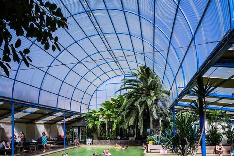 Desde Denver: tour de un día en grupo reducido al monte Evans y a las aguas termales