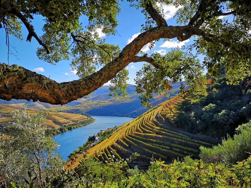 From Pinhão: Douro Valley Tour w/ Wine Tasting and Boat Trip