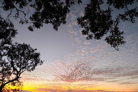 Chiang Mai Sunset Point,Wat Pha Lat,Wat Doi Suthep,Wat Umong