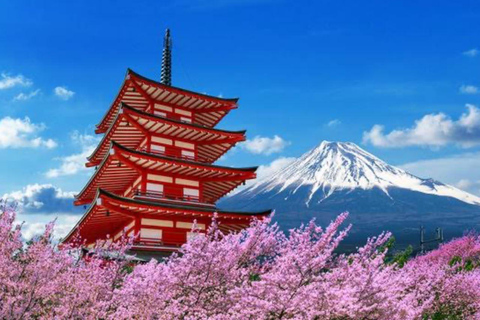 From Tokyo: Mount Fuji & Hakone Customizable Private Tour Itinerary A: Mount Fuji Full Day Customizable Private Tour