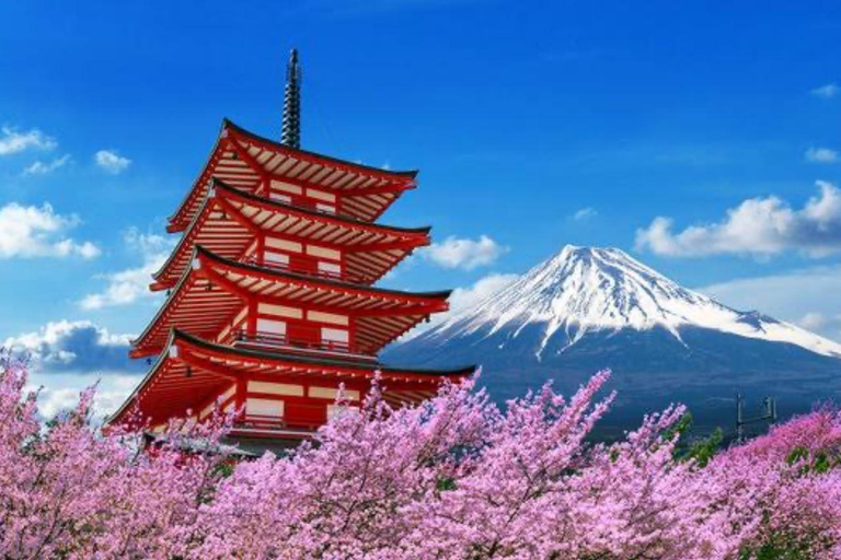 From Tokyo: Mount Fuji & Hakone Customizable Private Tour Itinerary A: Mount Fuji Full Day Customizable Private Tour