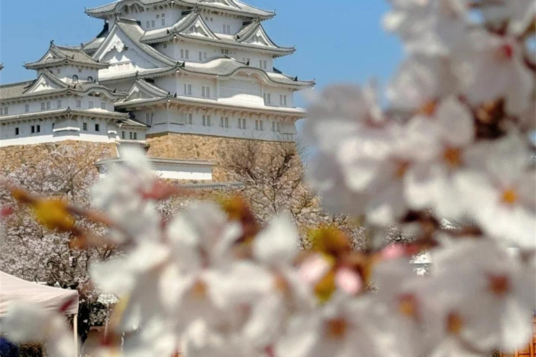 Osaka/Kyoto:Ono Sakura & Himeji Castle Cultural Day Trip Small Group(from/to Osaka)