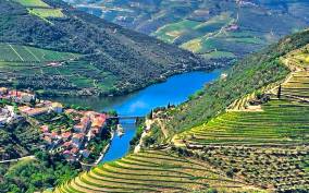 Porto: Douro Valley Tour with 2 Wineries, Lunch and Cruise