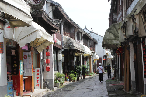From Shanghai: Tongli Water Town & Master of Nets Garden Tickerts + Transfer(NO Guide)
