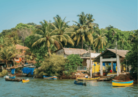 North Goa with Divar Island (Guided Full Day City Tour) - Housity