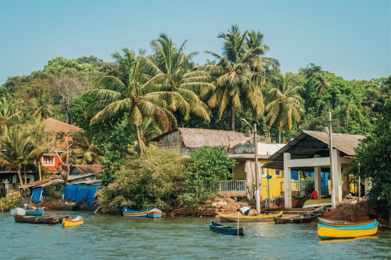 Północne Goa z wyspą Divar (całodniowa wycieczka po mieście z przewodnikiem)