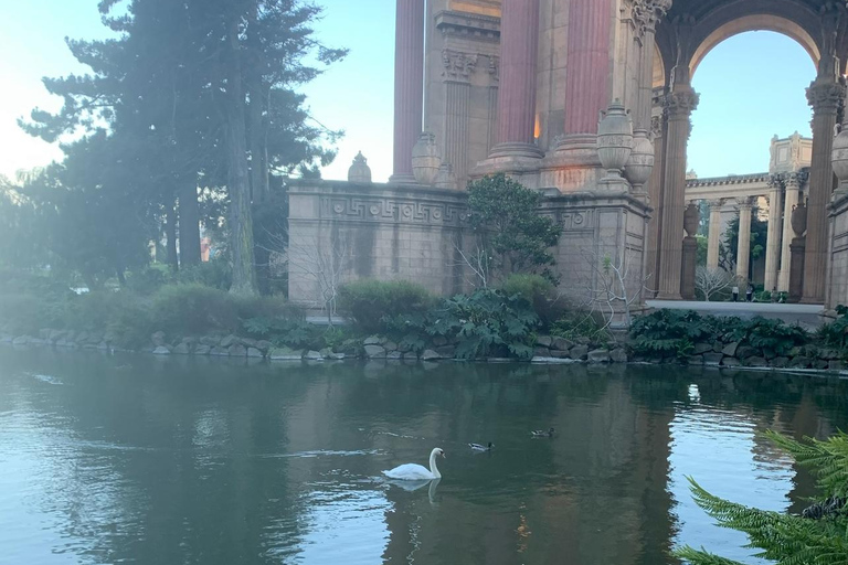 San Francisco: Billionaire's Row e Palace of Fine Arts TourTour a piedi di Billionaire's Row e del Palazzo delle Belle Arti