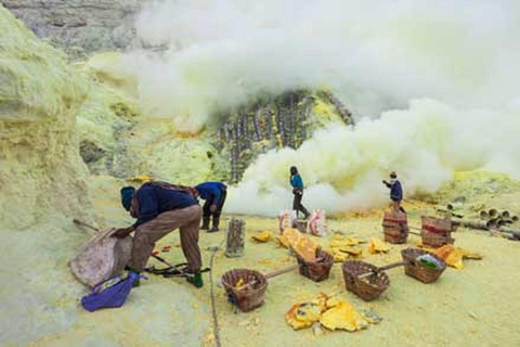 From Banyuwangi: Kawah Ijen Day Tour Without Blue Fire From Banyuwangi: Kawah Ijen Day Tour No Blue Fire & Sunrise