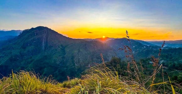 Ella: Sunset Tuk Tuk Tour with Little Adam&#39;s Peak Hike
