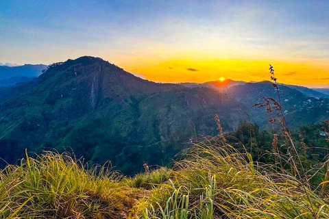 Ella: Passeio de Tuk Tuk ao pôr do sol com caminhada no Pico do Pequeno Adão