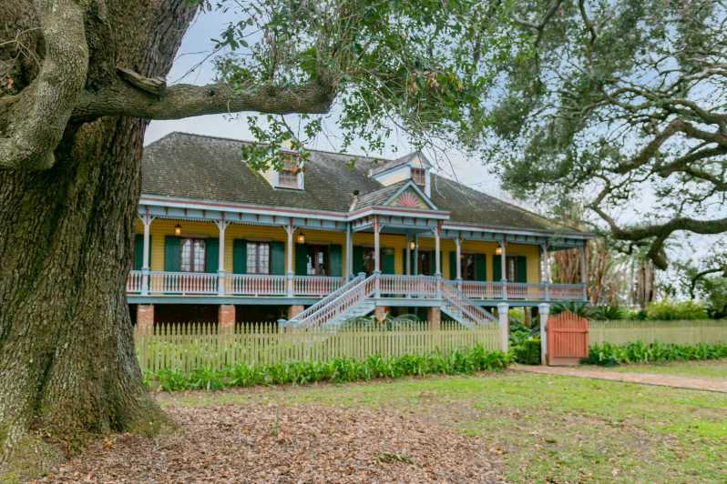 2023 Full Day Oak Alley Plantation And Swamp Boat Tour From New Orleans ...