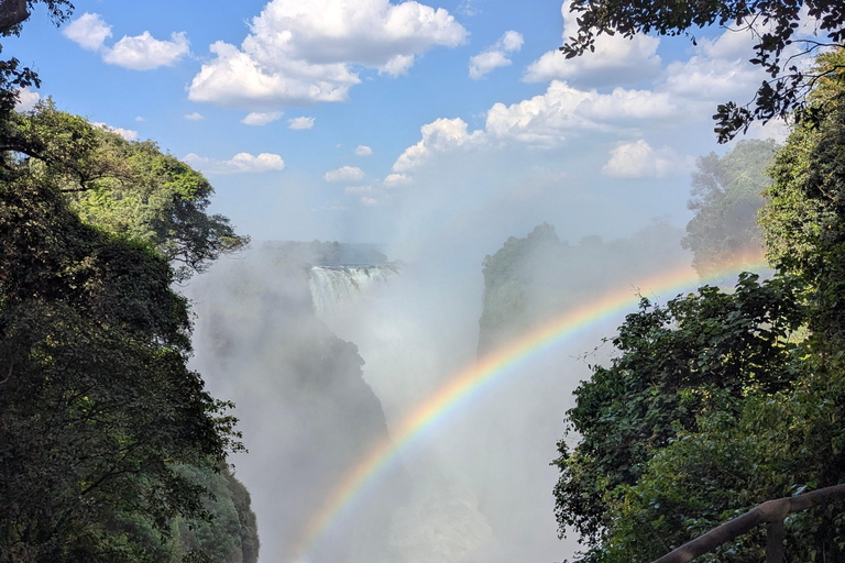 Victoria Falls: Guided Tour with Rainforest & Big Tree Full Heritage Experience: Falls, Rail & City