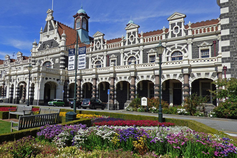 Te Anau to Dunedin via Catlins Small-Group Tour (One-Way)