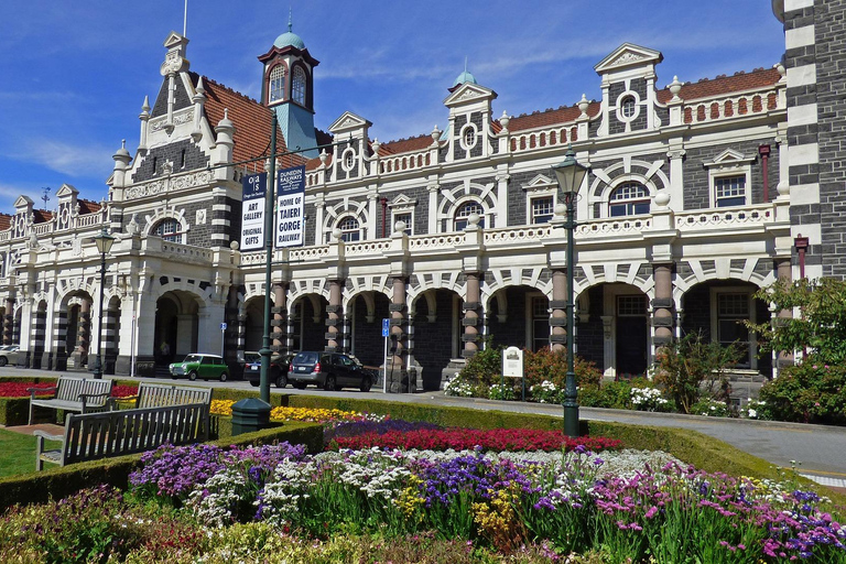 Te Anau to Dunedin via Catlins Small-Group Tour (One-Way)