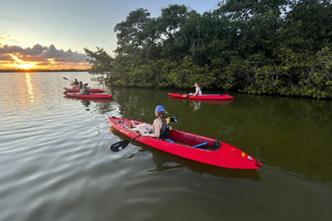Florida: Indian River Daytime Manatee and Dolphin Kayak Tour Clear Bottom Kayak Day Tour