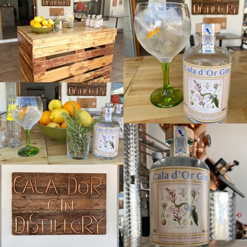 Cala d'Or: Gin tasting at the Cala d'Or Gin Distillery