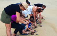 Von Huatulco, Turtle Release und Biolumineszenz Tour - Hizvo