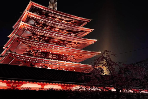 Tokyo Private Full-Day Customizable Tour with English Guide