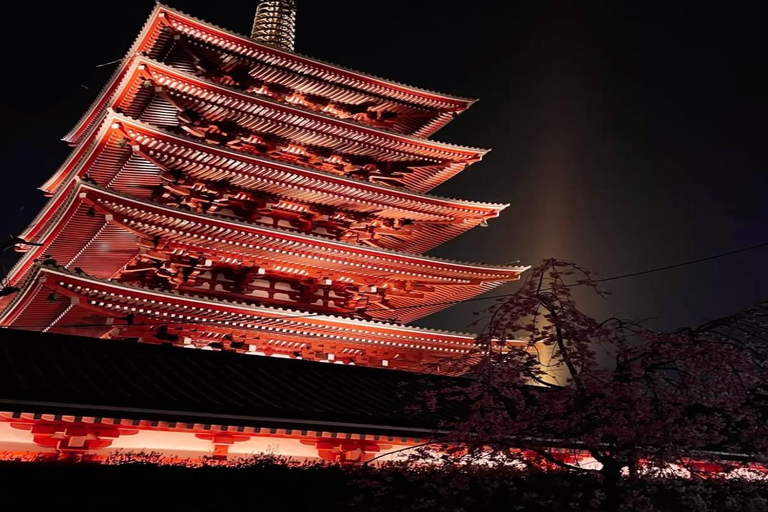 Tokyo Private Full-Day Customizable Tour with English Guide