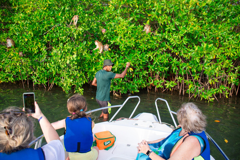Negombo: Boat Tour of Negombo Lagoon with hotel transfers