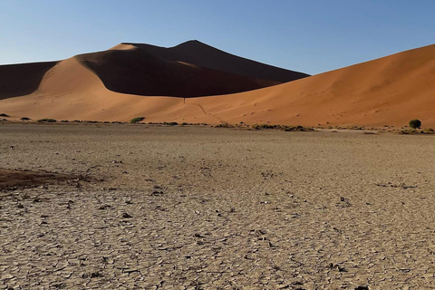 From Windhoek & Swakop: Namib Desert 2-Night Tour with Meals