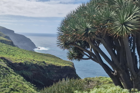 The Wildest Side of La Palma: Hiking into the Past in Garafía La Palma + Salvaje: A Journey into the Past amidst Remote Landscapes
