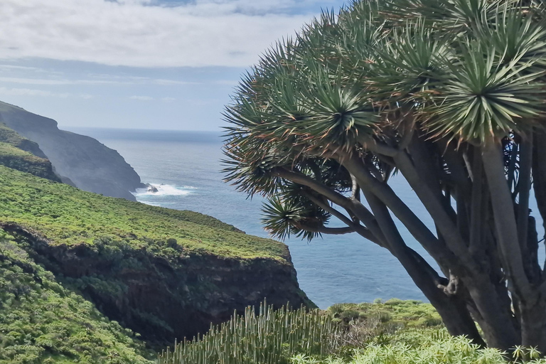 The Wildest Side of La Palma: Hiking into the Past in Garafía La Palma + Salvaje: A Journey into the Past amidst Remote Landscapes