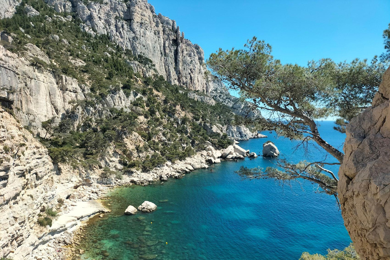 Aix: Safari en Marsella, Cassis y Paseo en Barco por las CalanquesGrupo pequeño