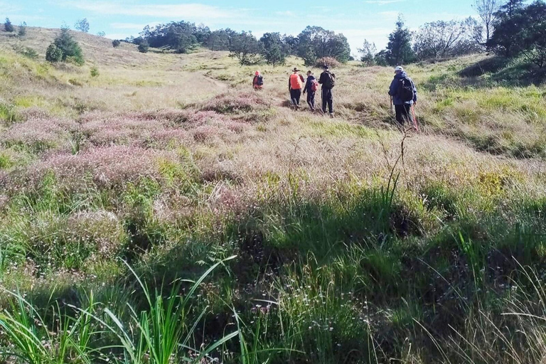 De Yogyakarta: Excursão de trekking ao nascer do sol no Monte Prau