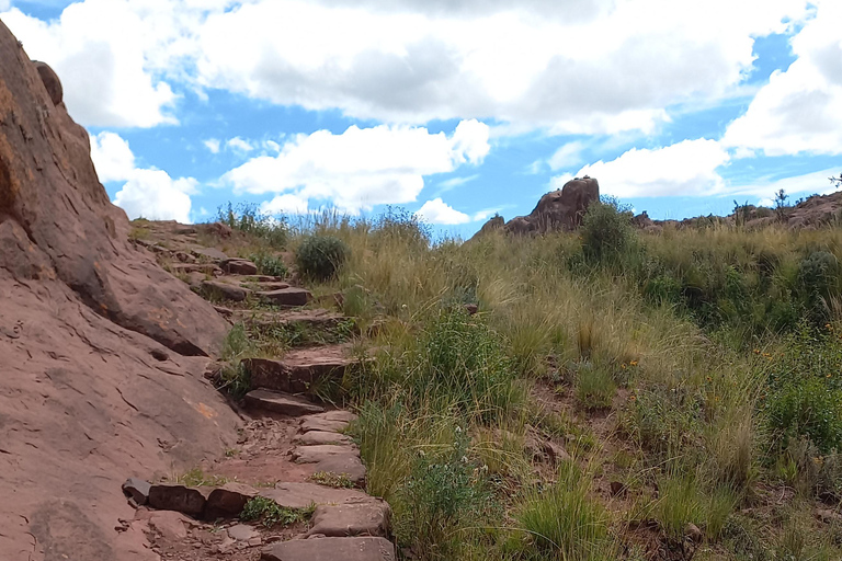 Z Puno: Wycieczka do Chucuito, Molloco i Aramu Muru