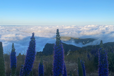 Madeira: Guided Peak Crossing: Pico do Arieiro to Pico Ruivo