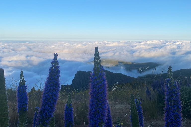 Madeira: Guided Peak Crossing: Pico do Arieiro to Pico Ruivo