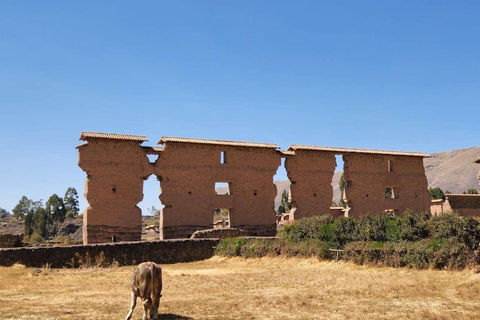 Itinerario del sole tra Cusco Puno in un giorno con pranzo a buffet