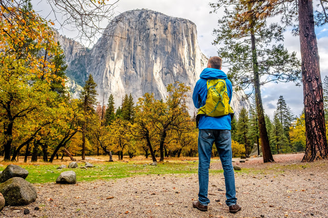 From San Francisco: Day Trip to Yosemite National Park
