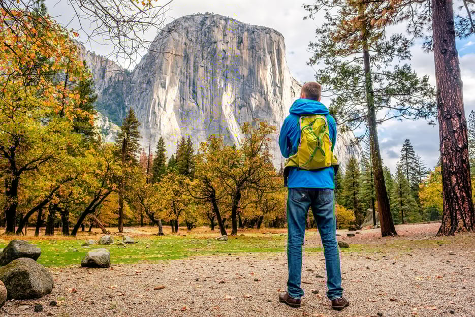 From San Francisco: Day Trip to Yosemite National Park