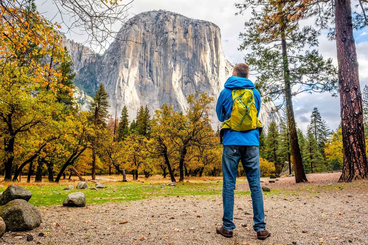 From San Francisco: Day Trip to Yosemite National Park - From San Francisco: Day Trip to Yosemite National Park