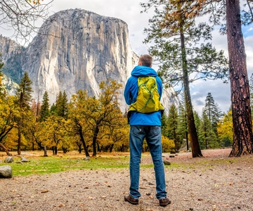 Från San Francisco: Dagsutflykt till Yosemite National Park