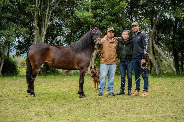 Bogotá: Paso Fino Horse Ranch Visit with Guide
