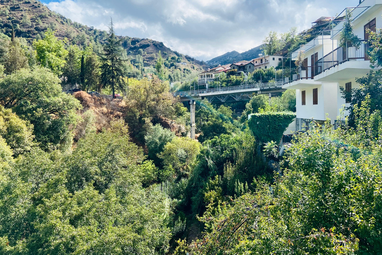 From Larnaca: UNESCO Churches and Monasteries Tour