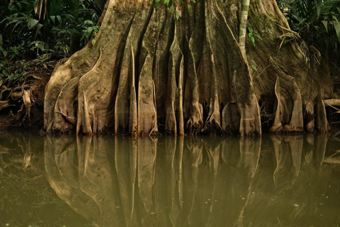 3-hour experience through the channels of the National Park.