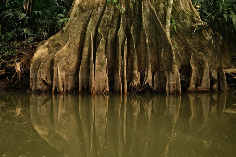 Experiencia de 3 horas por los canales del Parque Nacional.