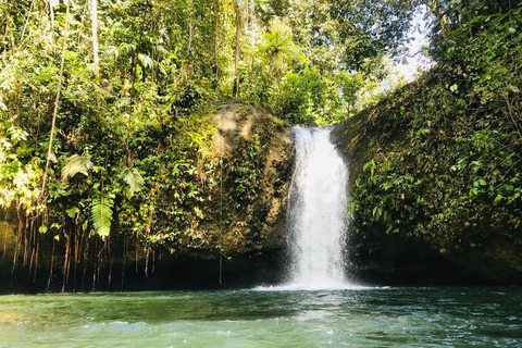Mindo: Waterfalls, Chocolate, and Birdwatching Day Tour MINDO 360