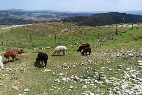 Bakoe: Shamakhi Safari Tour met lokale lunch