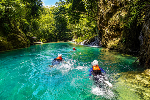 Cebu: Oslob Whale Sharks & Kawasan Canyoneering Tour Shared / Group Tour