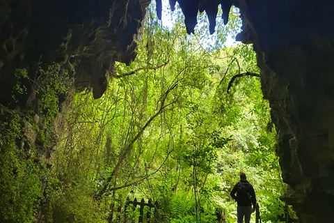 Rotorua para o cenário do filme Hobbiton/ Grutas Waitomo Glowworm