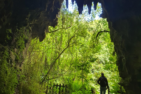 Wycieczki Rotorua i Taupo:, odwiedź naturalne gorące źródła i gejzeryWycieczki Rotorua i Taupo Parki gejzerów, jaskinie Waitomo, Hobbiton