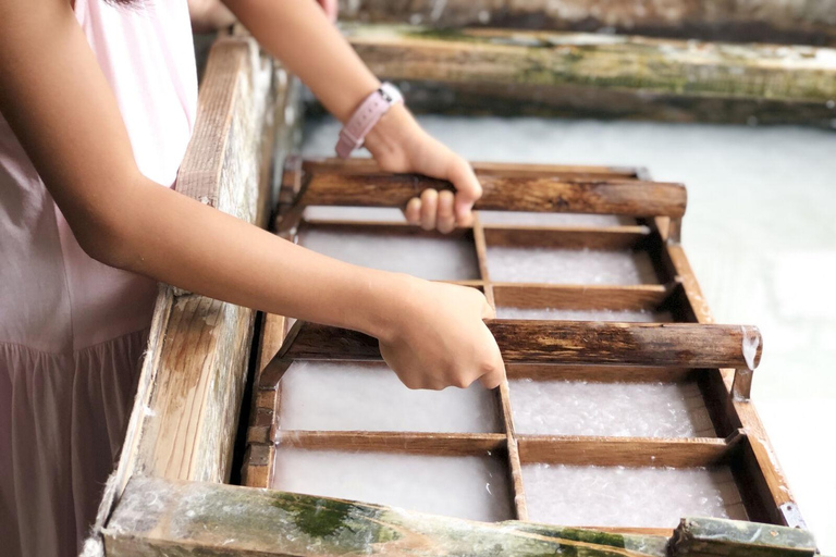 From Takayama: World Heritage Gokayama & Shirakawa-go From Takayama Station, Ending at Kanazawa Station