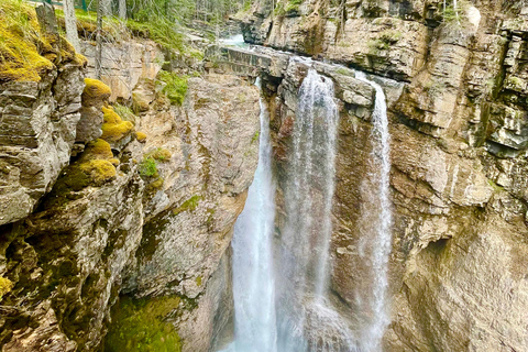 Vanuit Calgary: Banff, Moraine Lake en Lake Louise TourOphaalservice Calgary